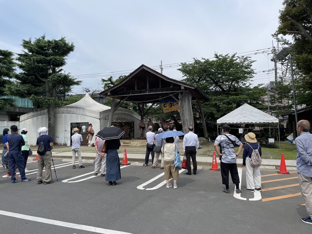 春日野部屋朝稽古観客