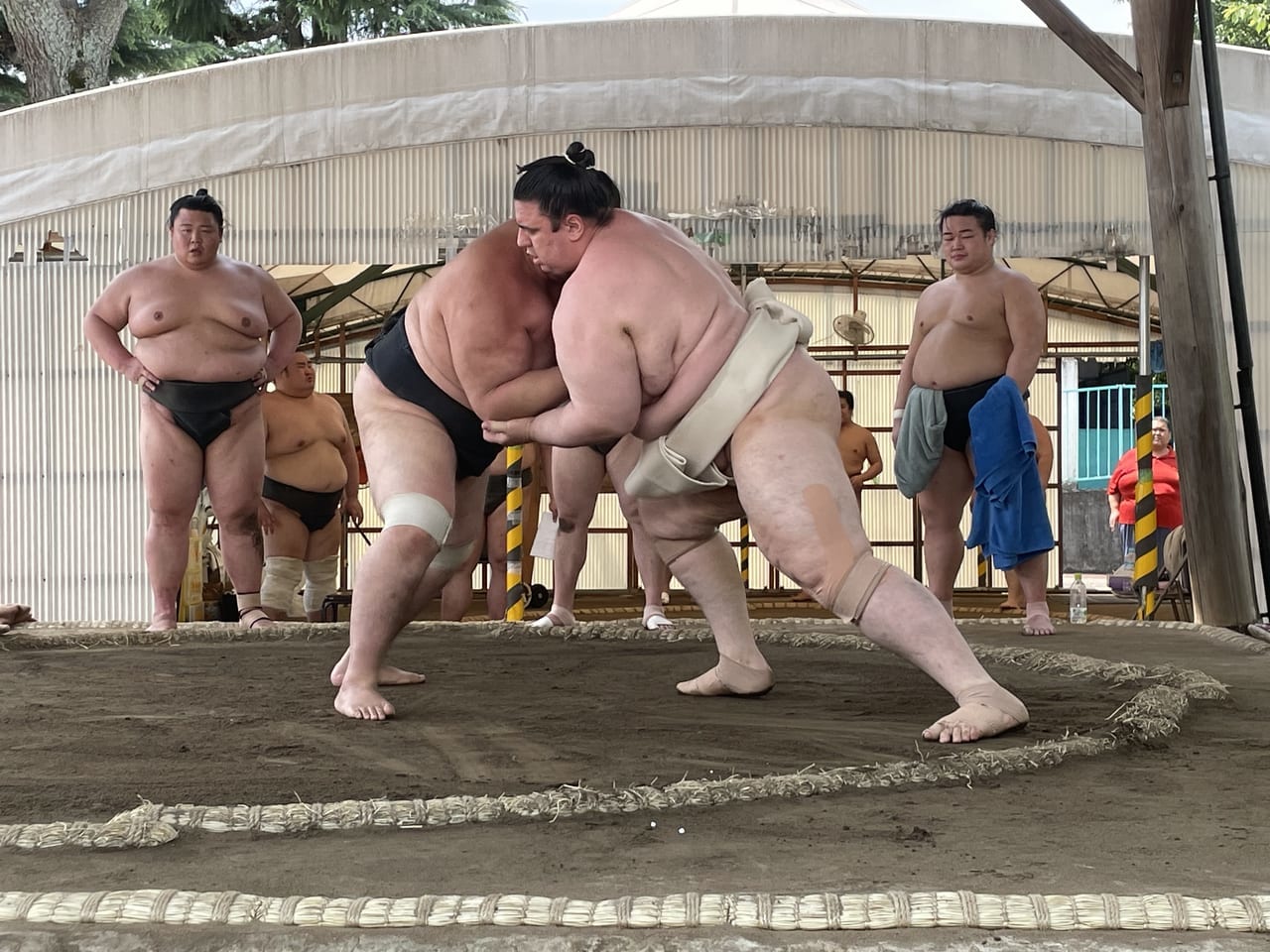 碧山ぶつかり稽古