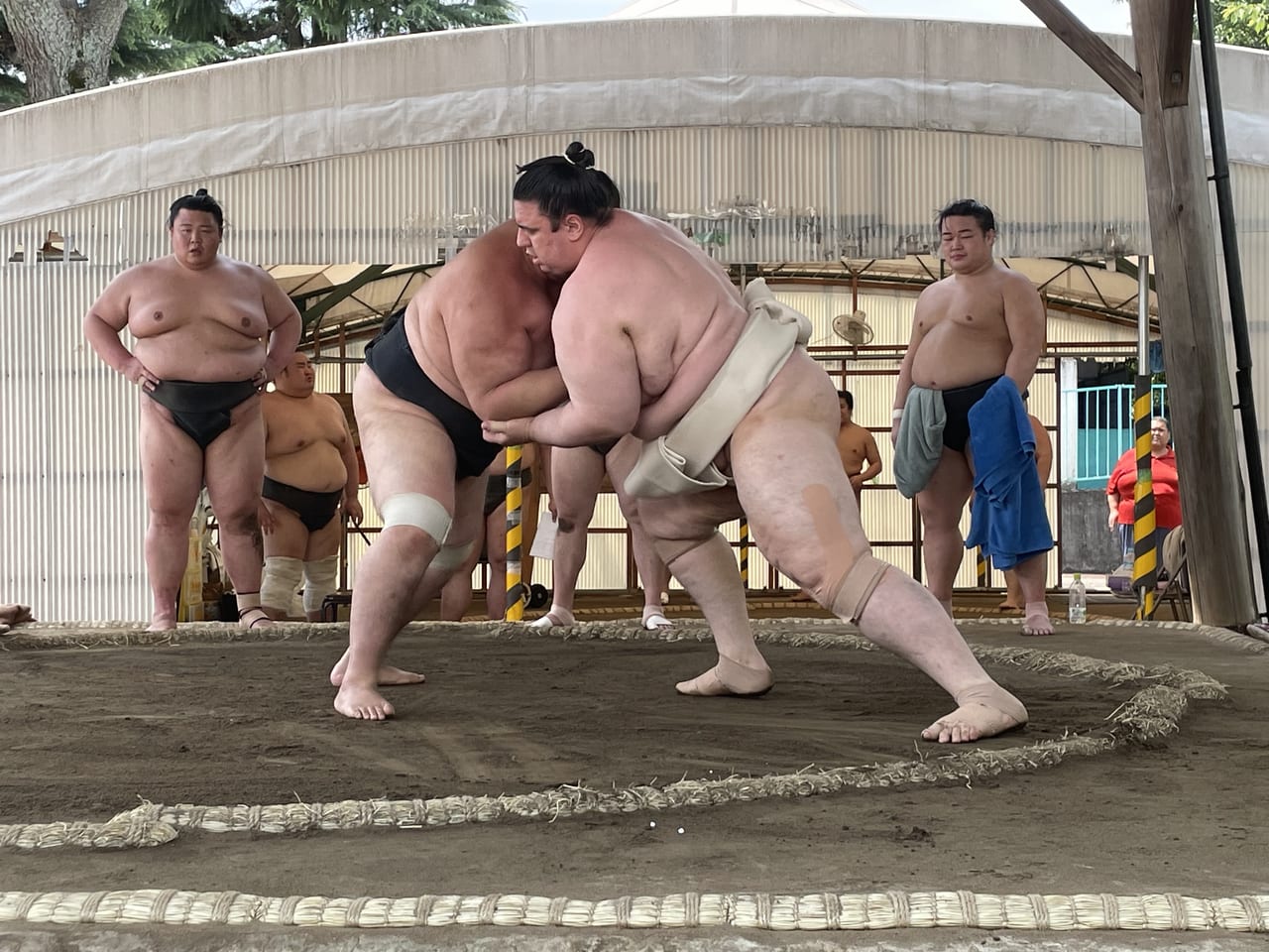 碧山ぶつかり稽古