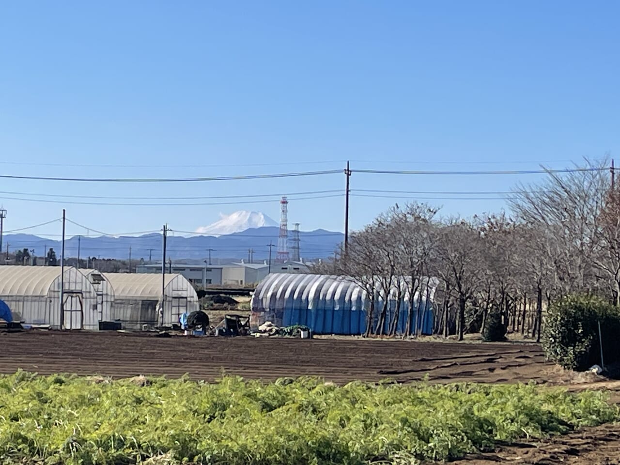 富士山２