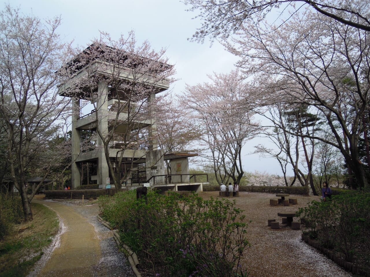 桜山展望台１