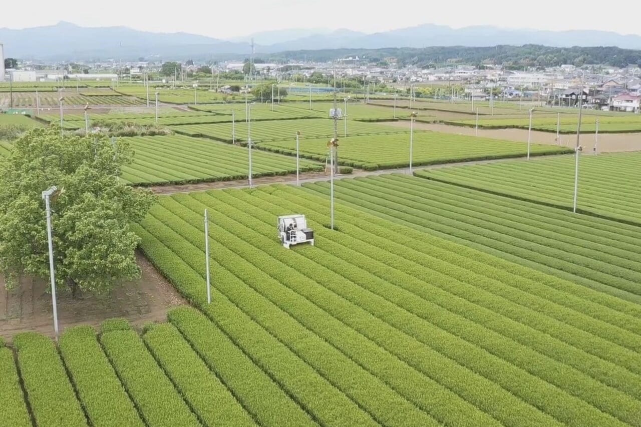 乗用茶刈機1