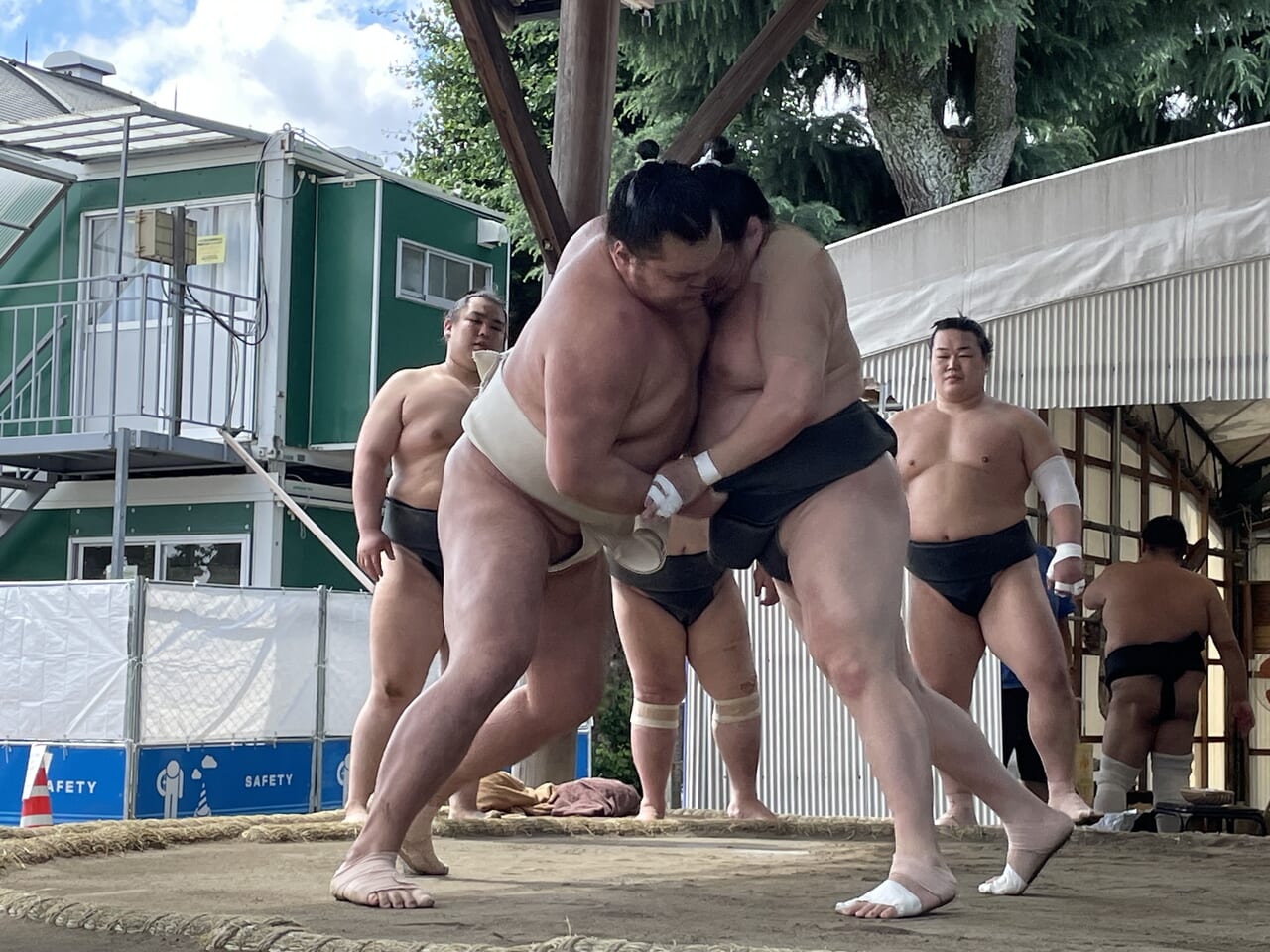 春日野部屋２