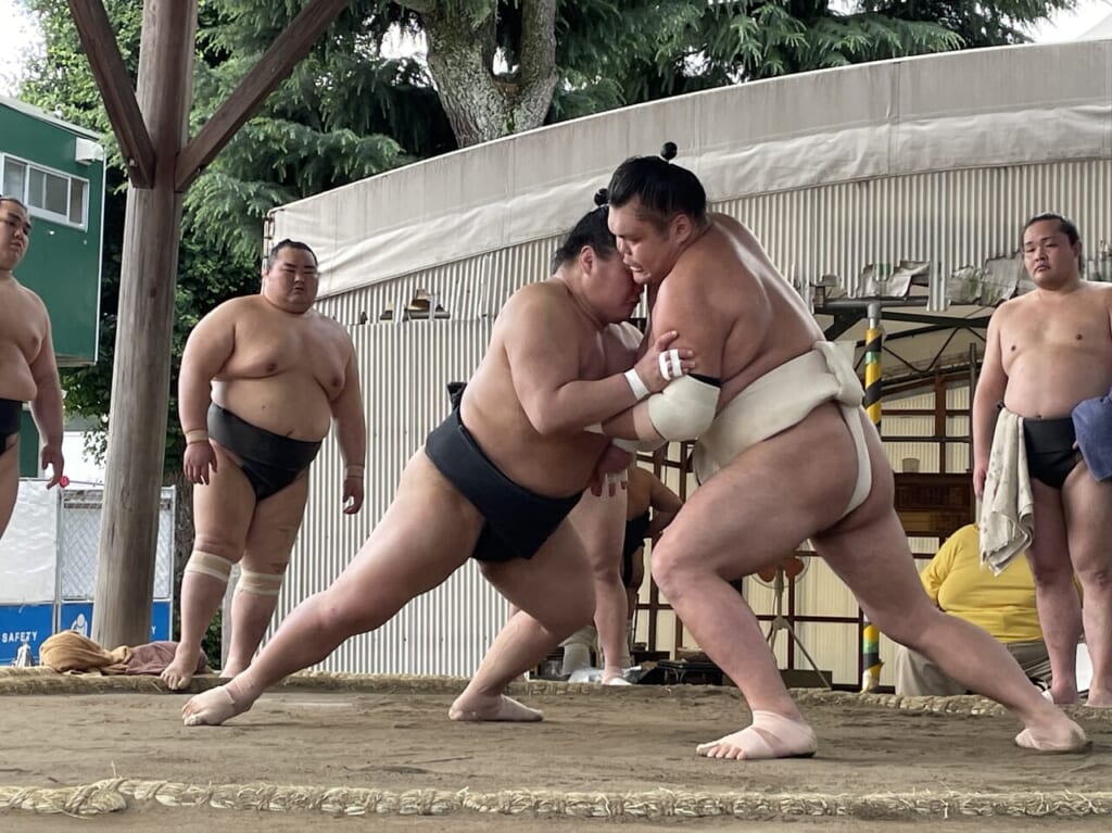 2024春日野部屋レポ７