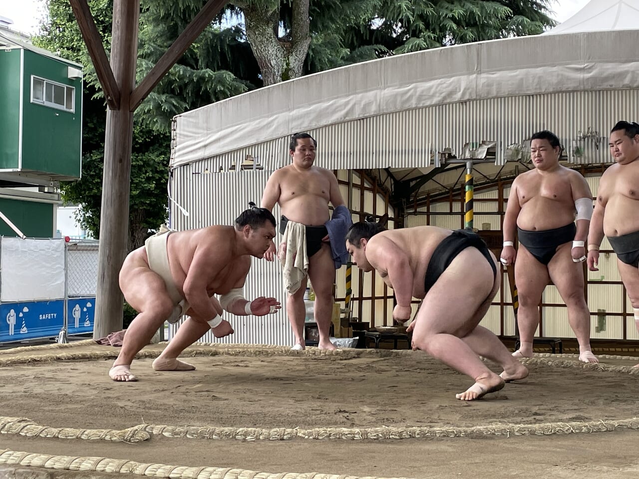 春日野部屋３
