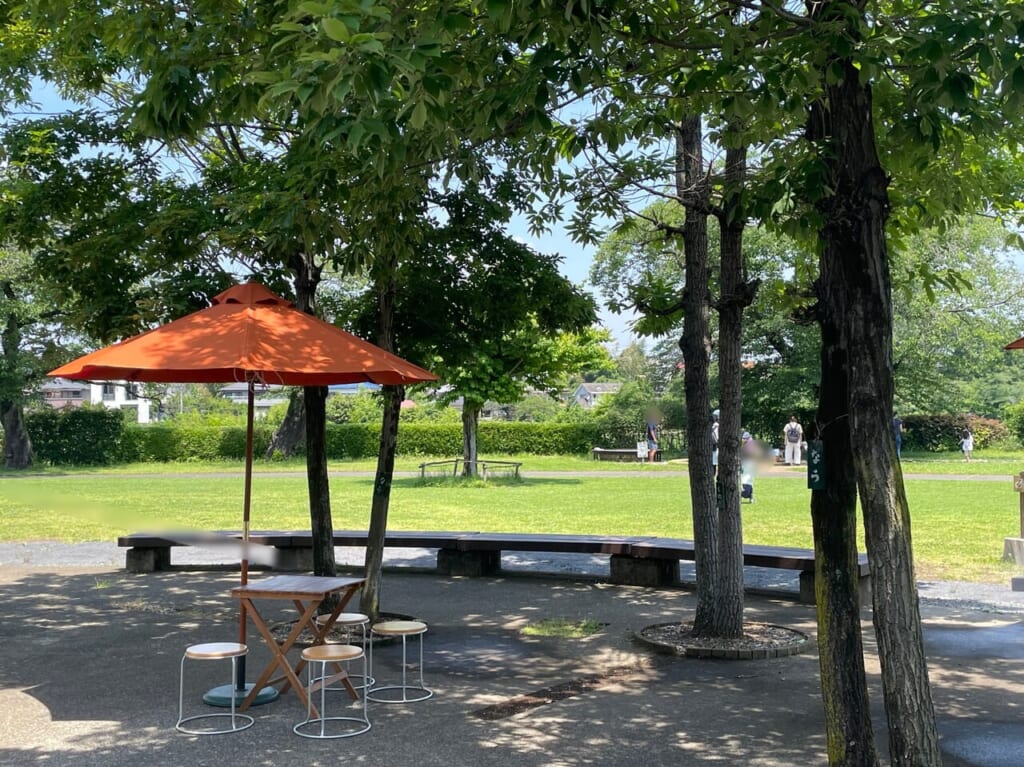 アミーゴ夏１