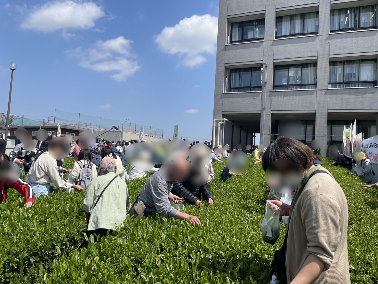 202505新茶まつり２