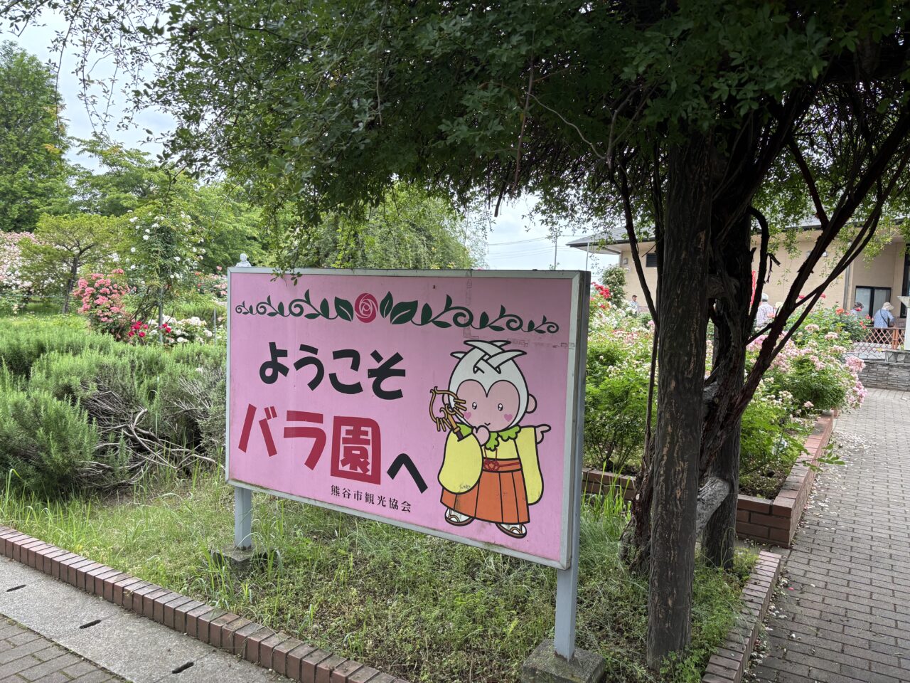 熊谷市バラ園