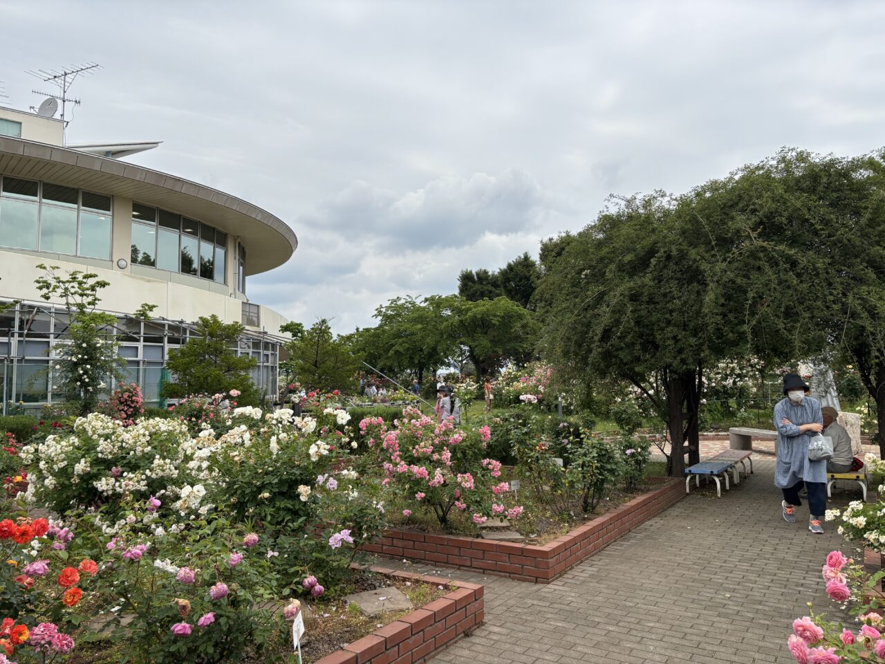 熊谷市バラ園