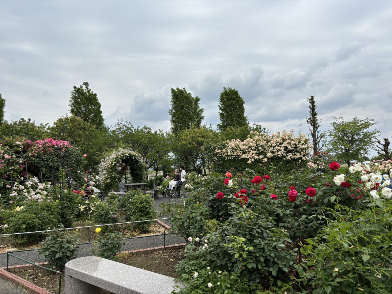 熊谷市バラ園