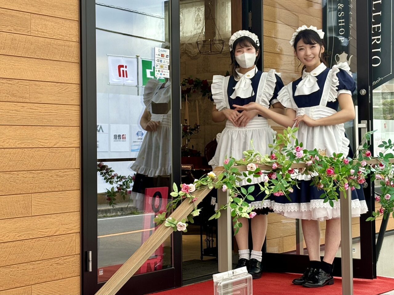 テレリオ１５