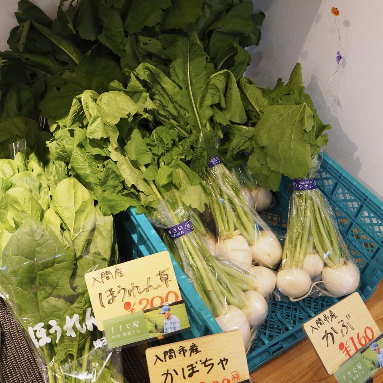 2025ケーブルまつり２